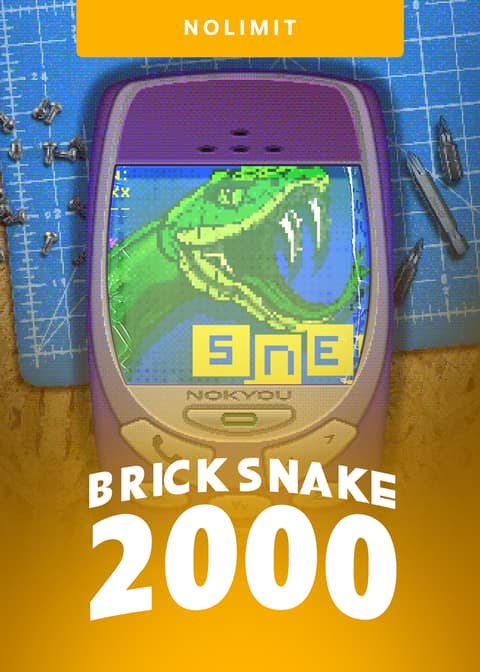 Portada del juego Brick Snake